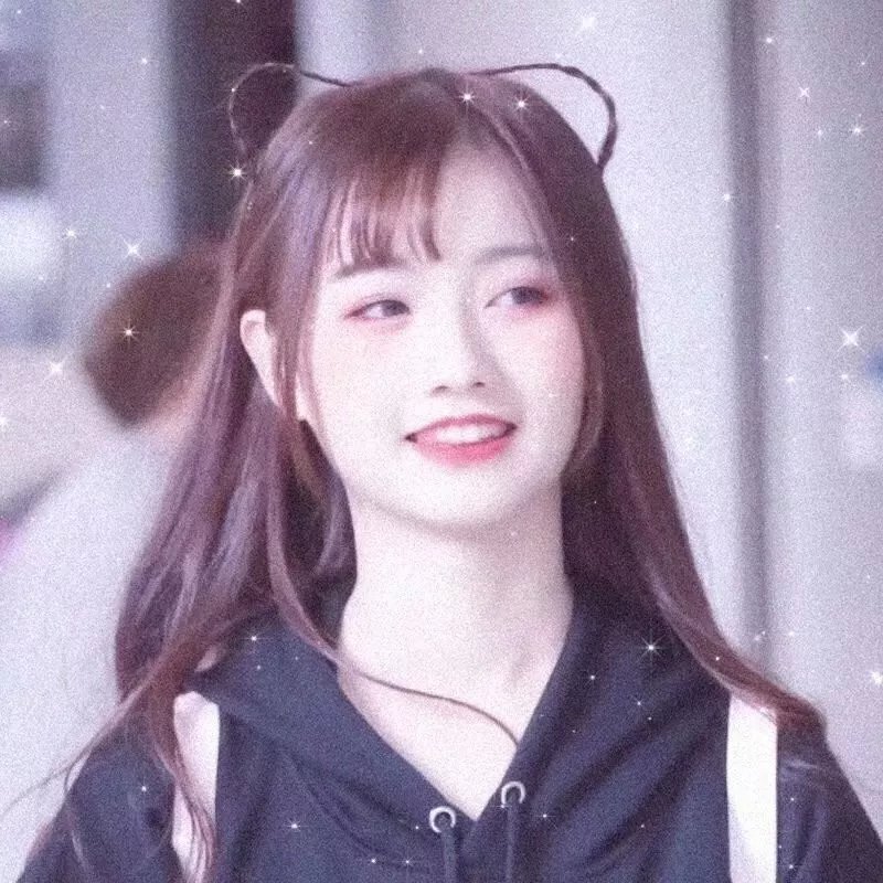 翱翔于天际的夜鹰